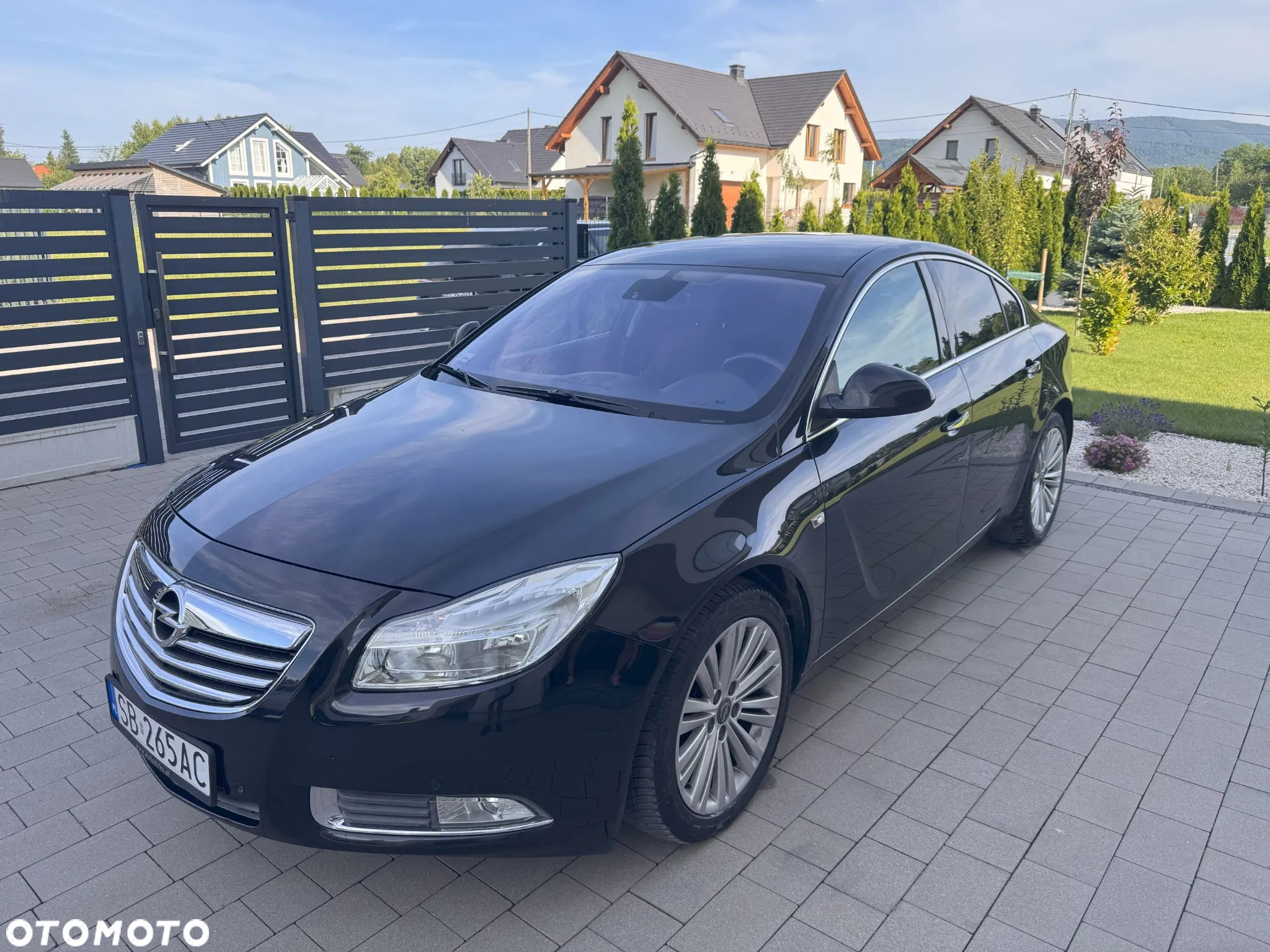 Opel Insignia - 1