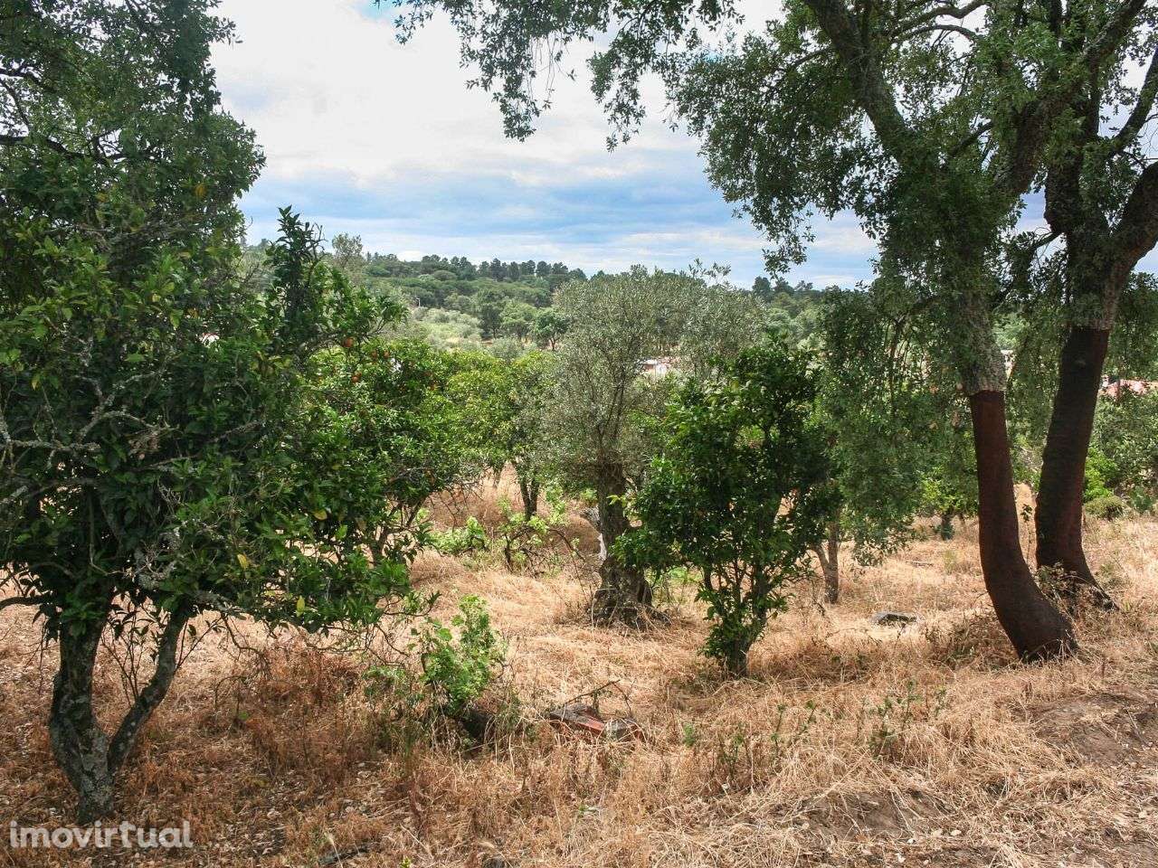 Terreno com Moradia Rústica para Reconstruir - Grande imagem: 5/11