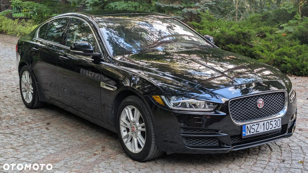 Jaguar Xe 2017 photo 2