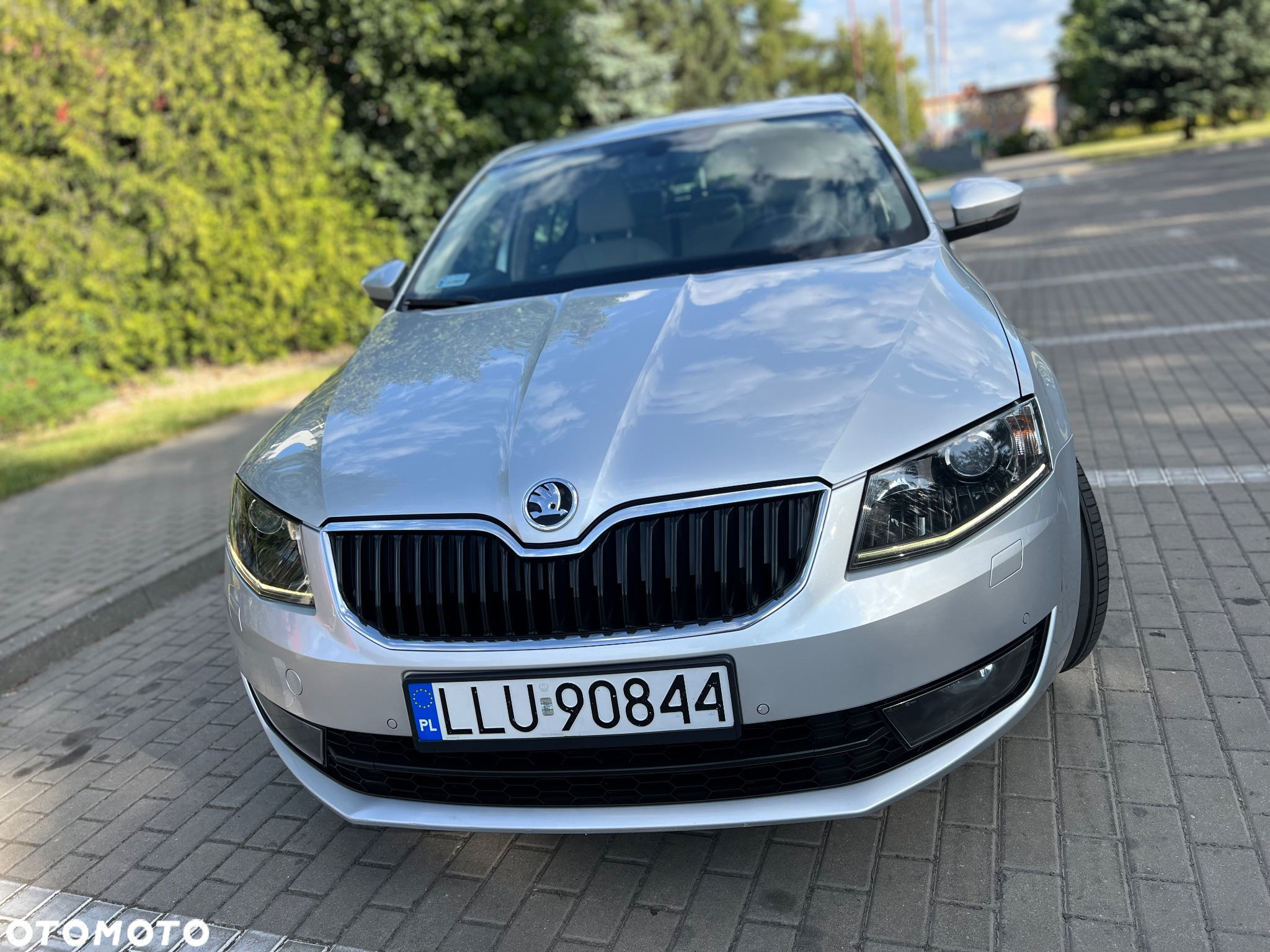 Skoda Octavia - 14