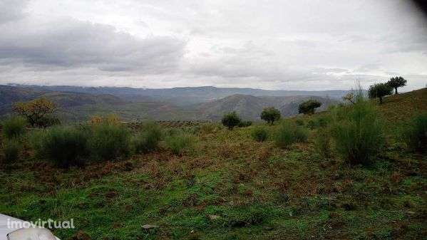 Terreno 15000m2 (1,5h) - Grande imagem: 4/12