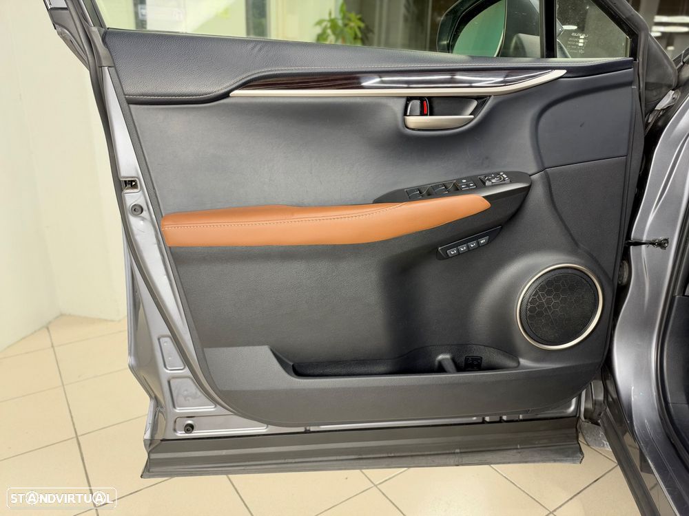 Lexus NX 300h Executive Plus - 14