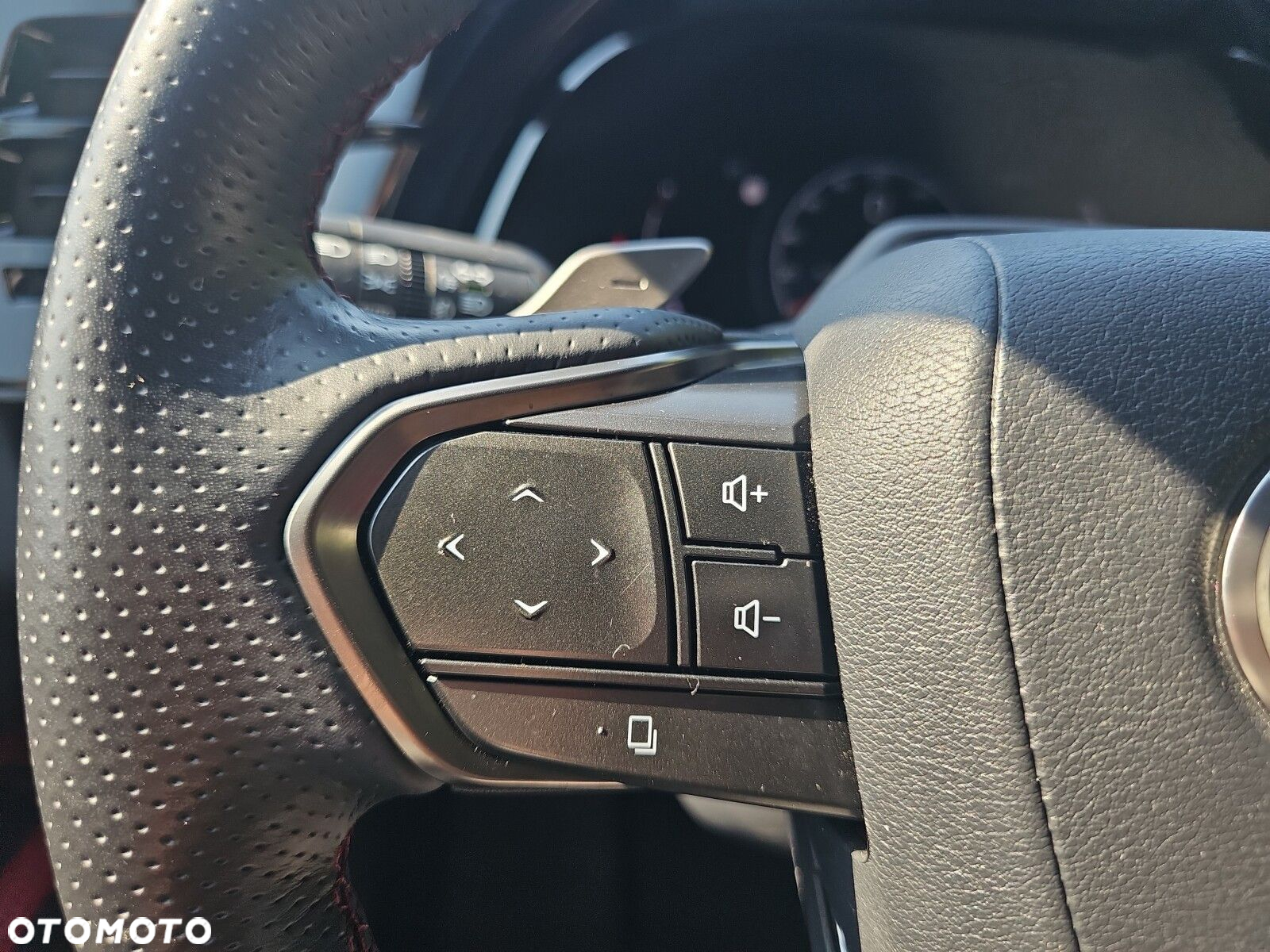 Lexus RX - 25