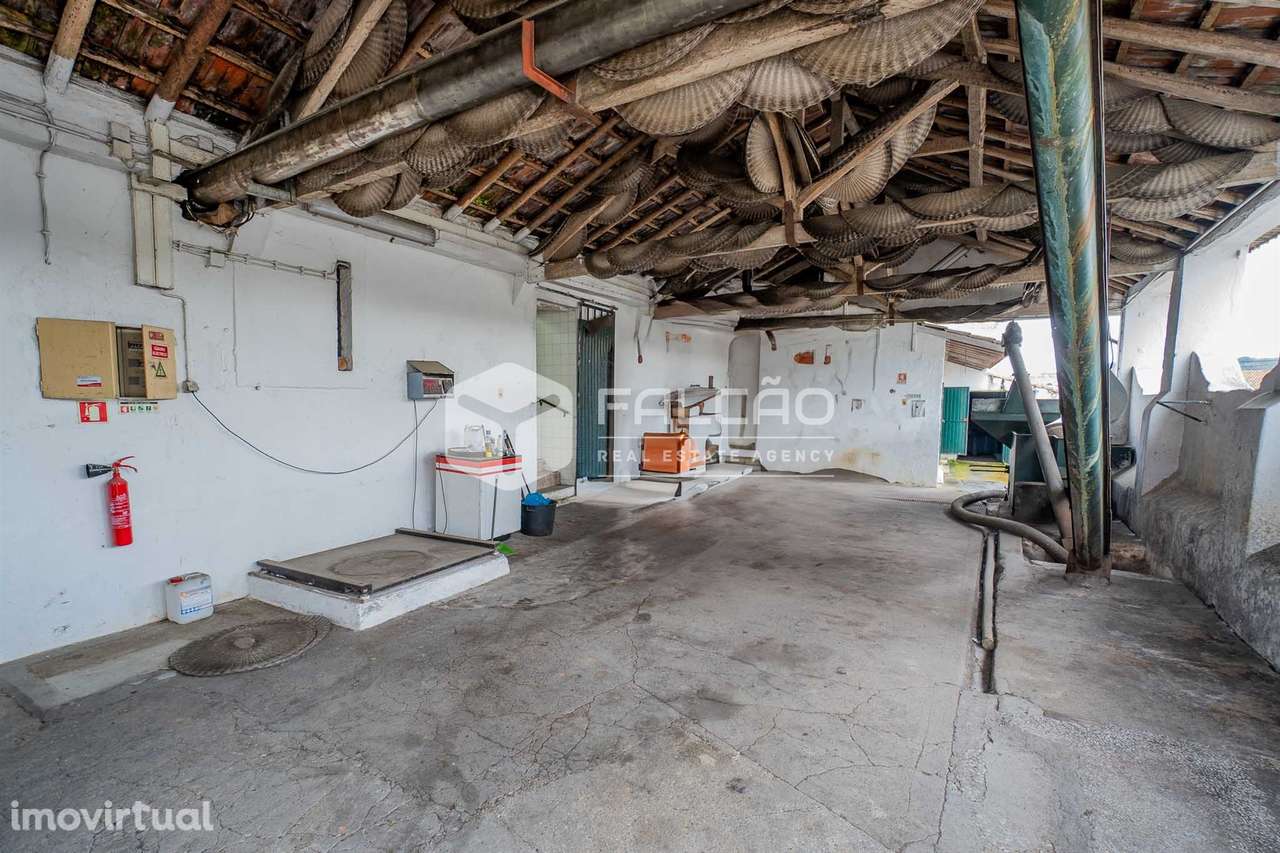 Armazém  Venda em Almoster,Santarém - Grande imagem: 4/31