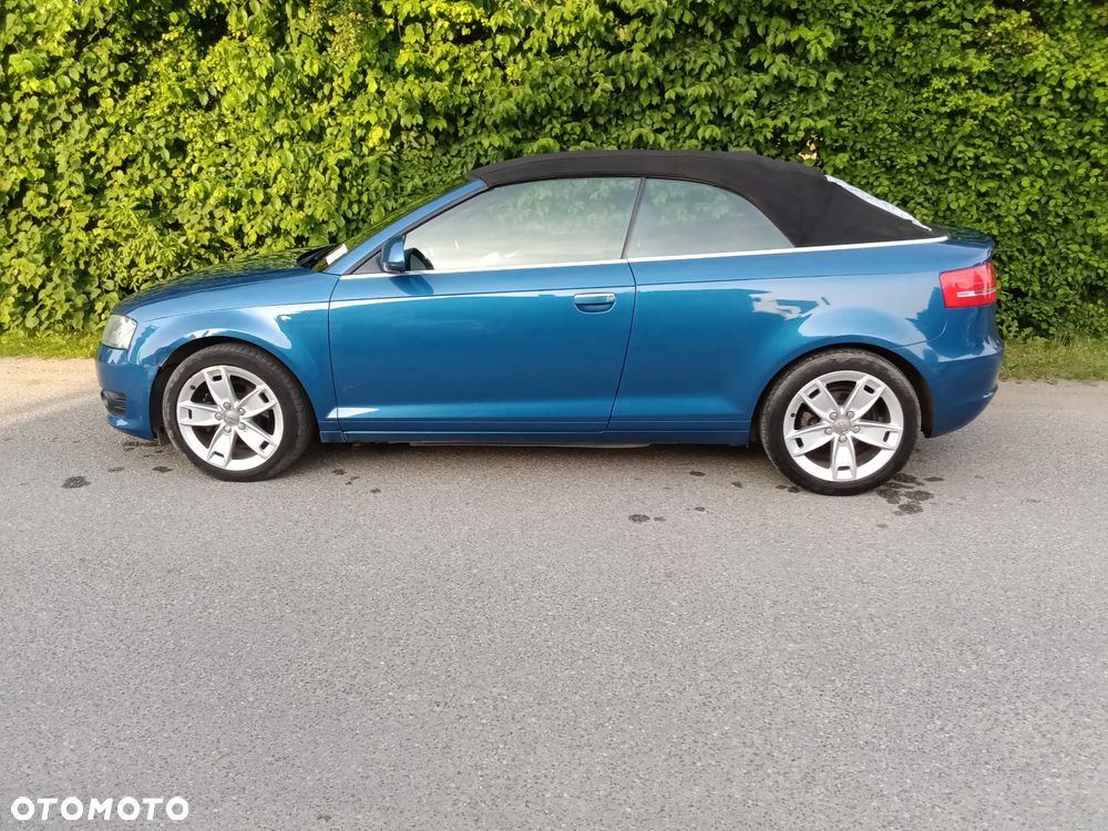 Audi A3 Cabrio 1.9 TDI DPF Ambition - 3