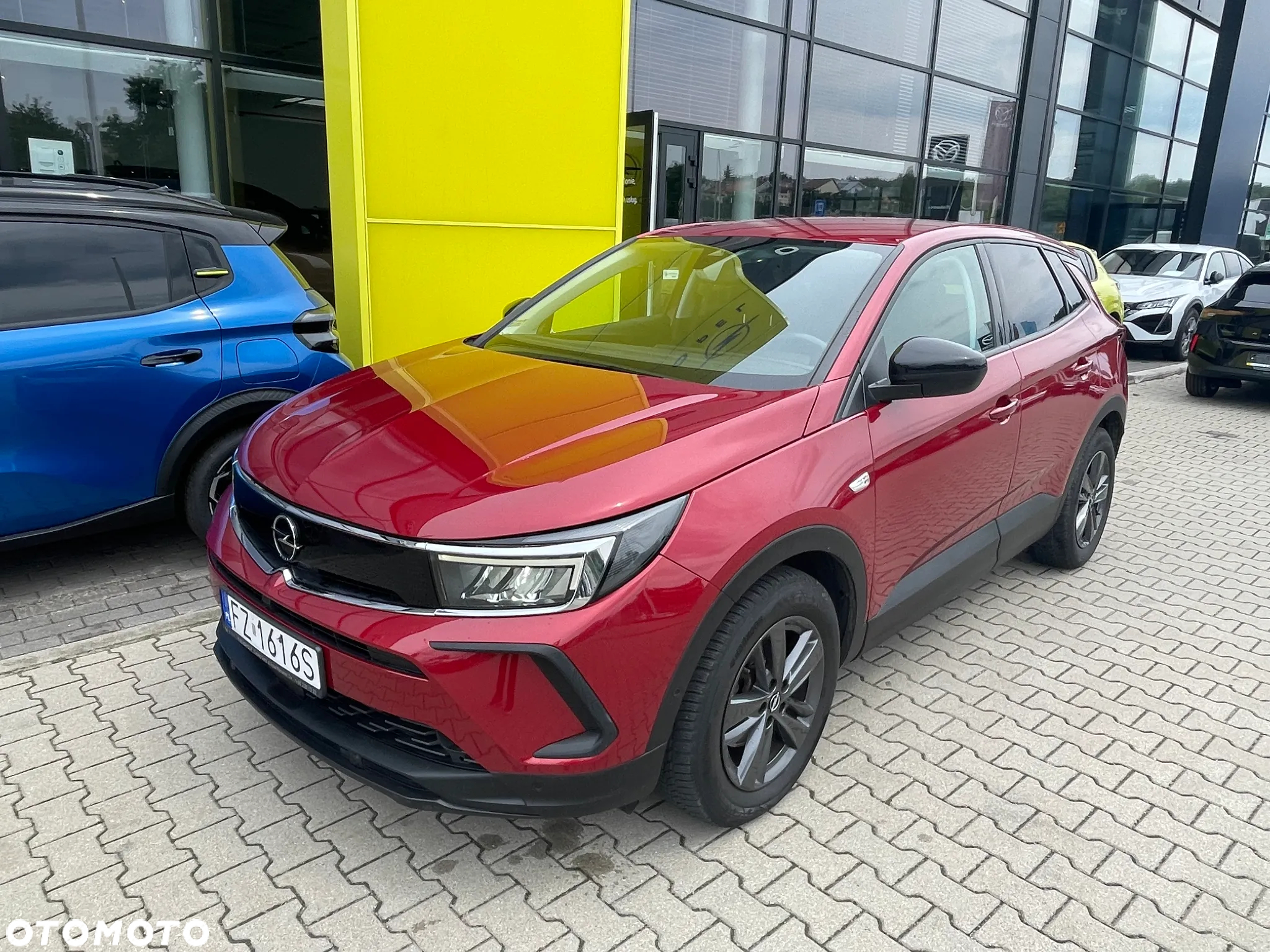 Opel Grandland 1.2 T GPF Edition Business Pack S&S - 2