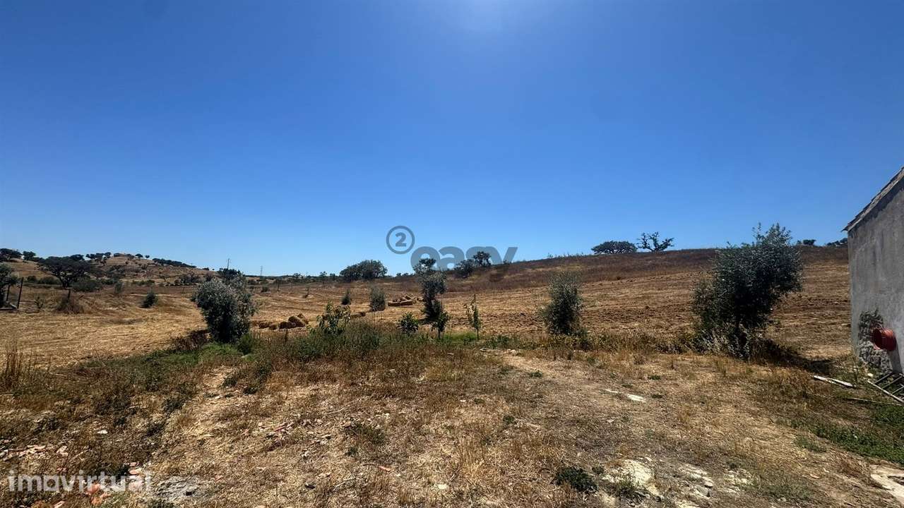 Monte alentejano com 1 Hectare em Ourique | Natureza, Tranquilidade e - Grande imagem: 3/36