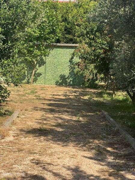 Quinta junto ao rio arado  a 3km de Silves - Grande imagem: 2/8