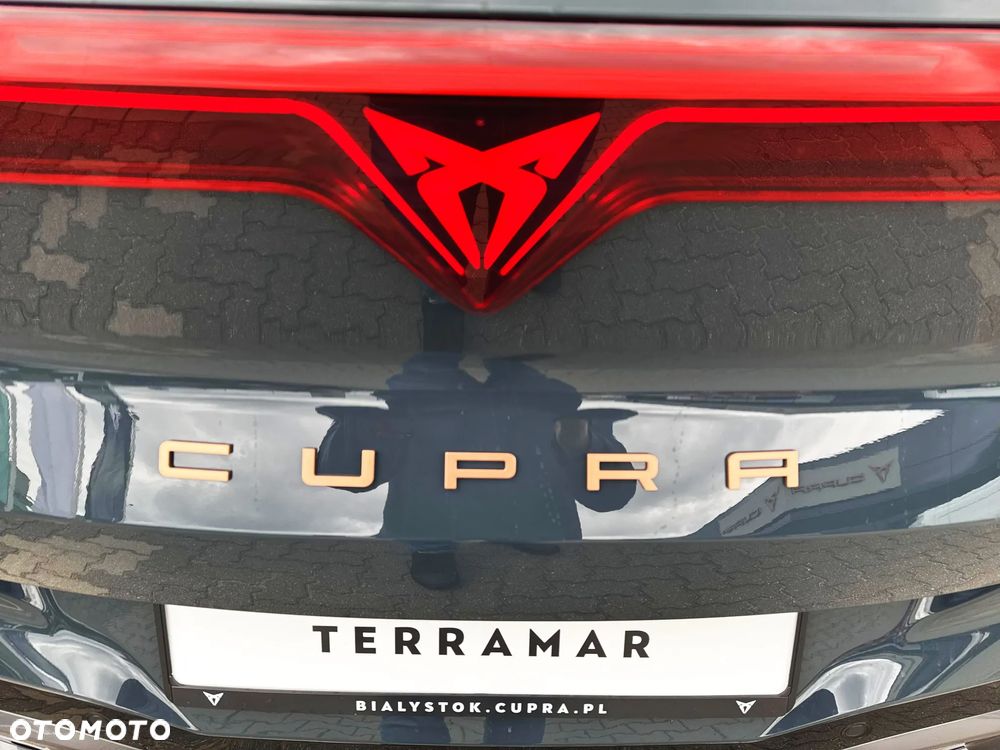 Cupra Terramar - 21