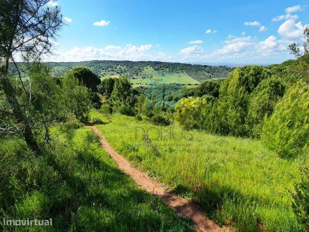 Quinta com 435.487 m2 na Serra da Arrábida, em Palmela, Setúbal - Grande imagem: 4/60