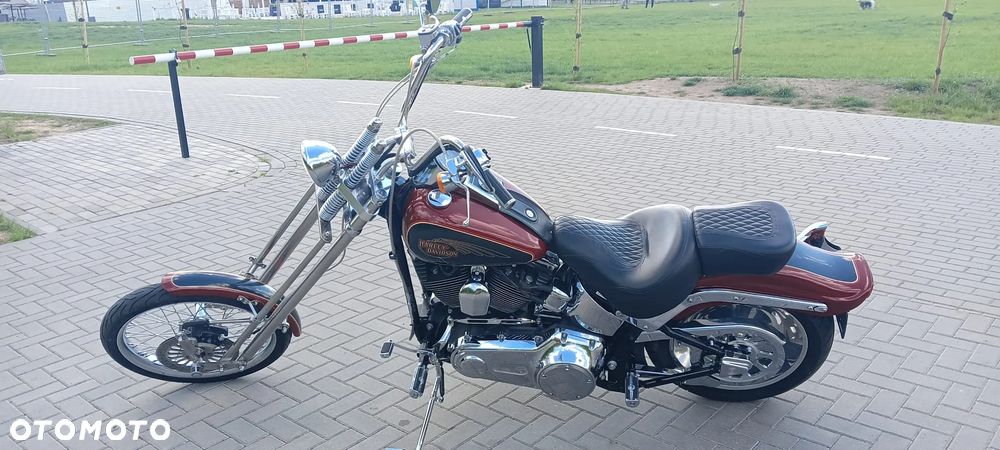Harley-Davidson Softail Custom - 5
