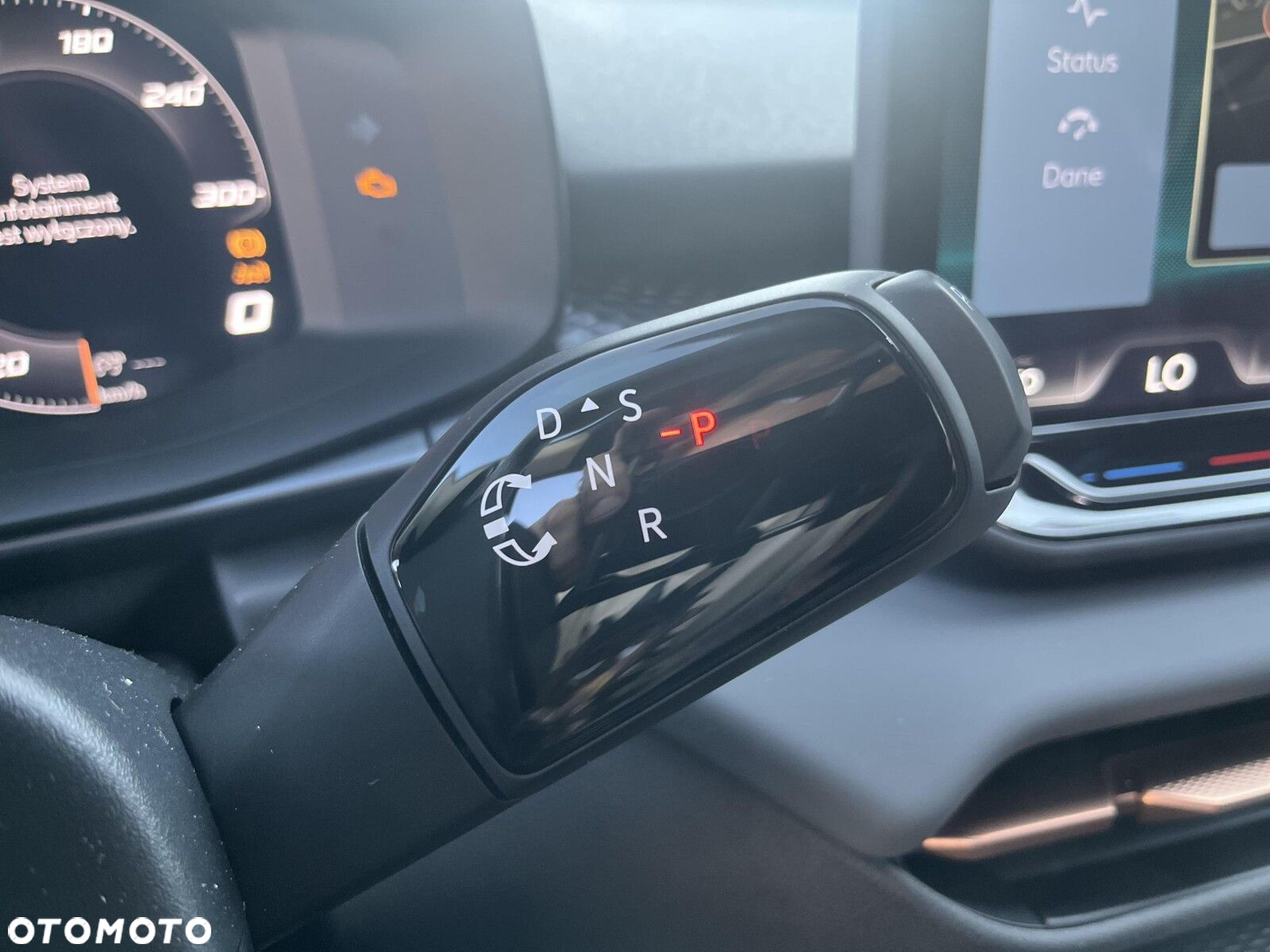 Cupra Terramar - 15