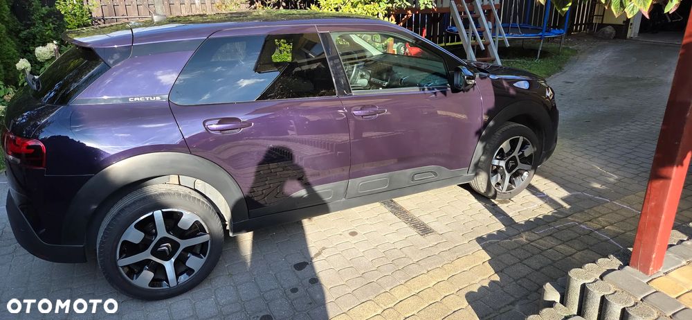 Citroën C4 Cactus BlueHDi 100 82g Stop&Start Feel - 7