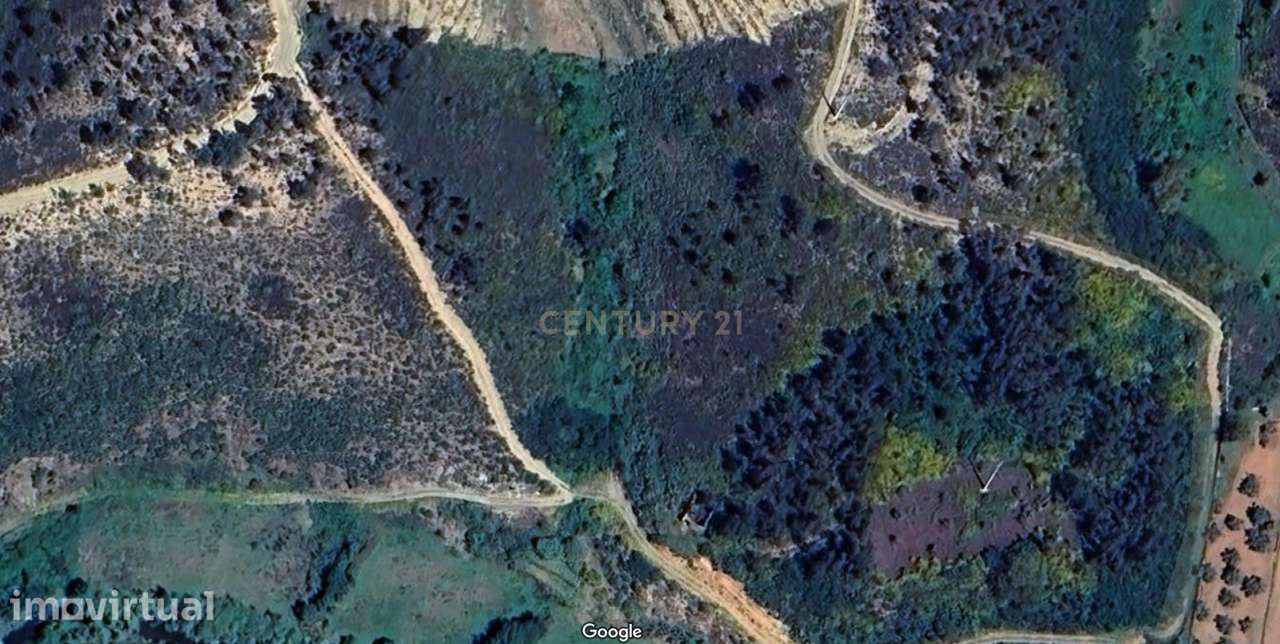 Terreno de Pinhal | Negociável - Grande imagem: 2/6