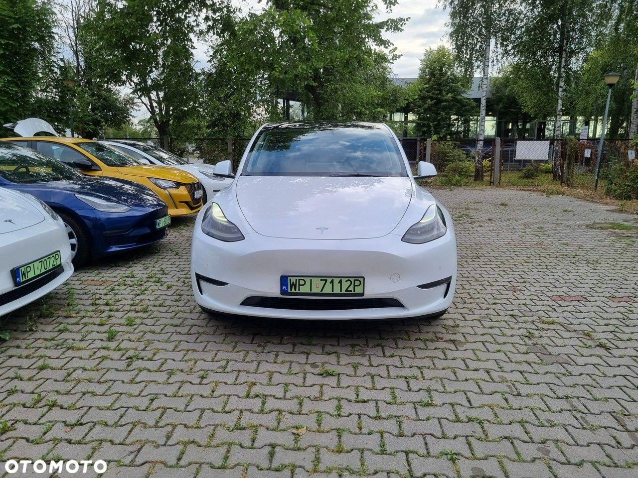 Tesla Y - 8