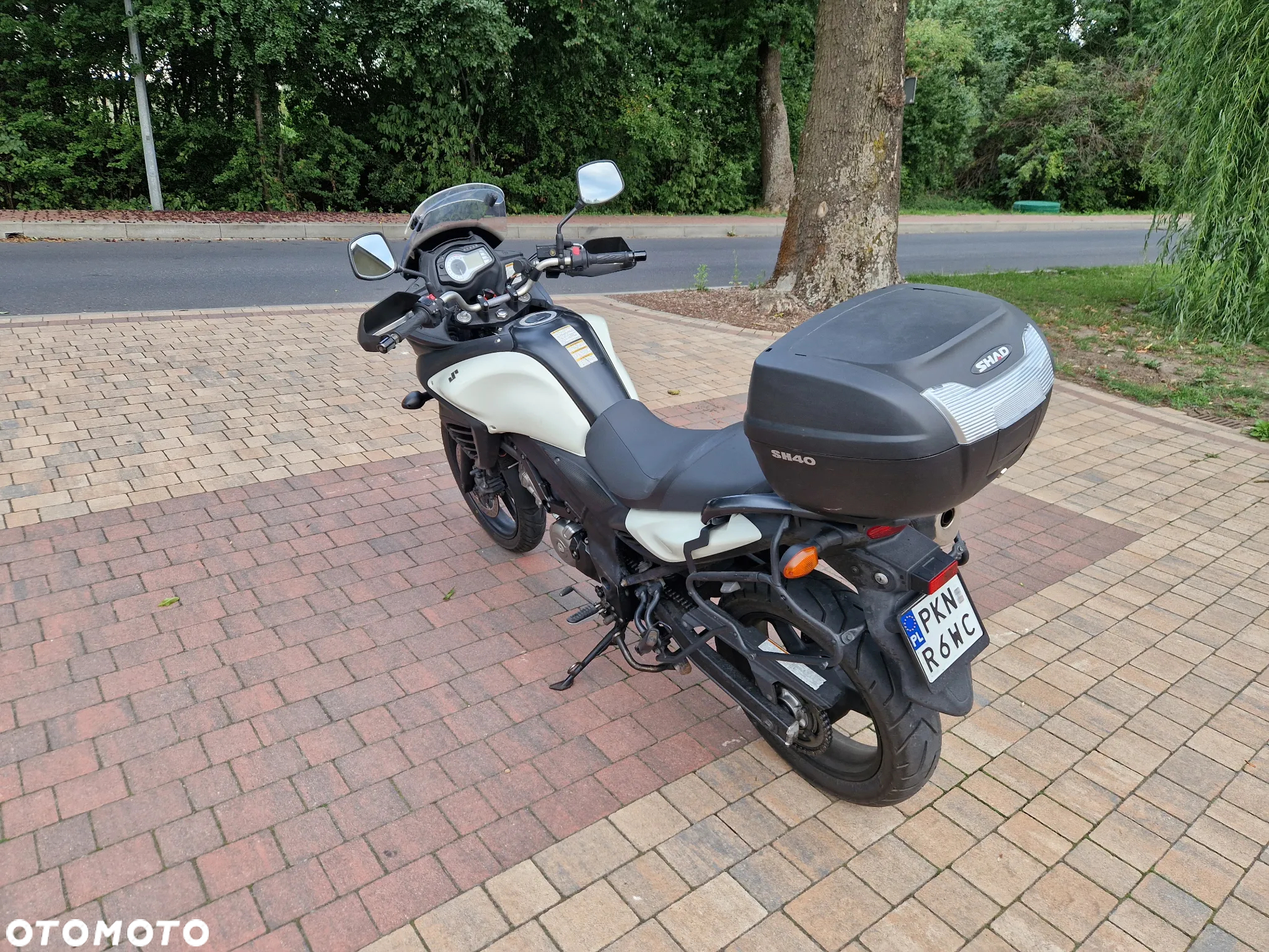 Suzuki DL - 3
