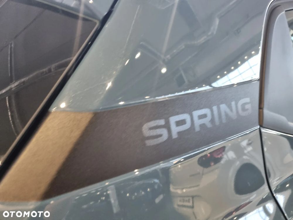 Dacia Spring - 12