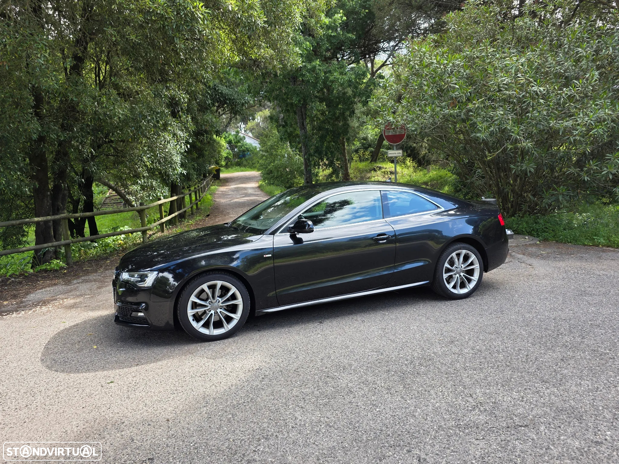 Audi A5 2.0 TDI Multitronic S-line - 14