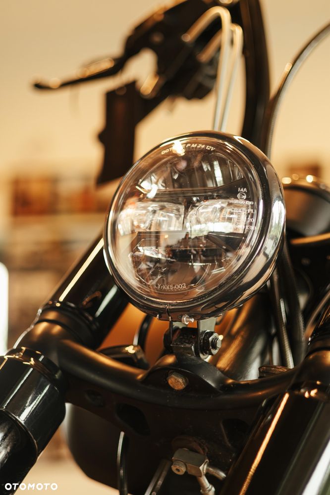 Harley-Davidson Softail Blackline - 21