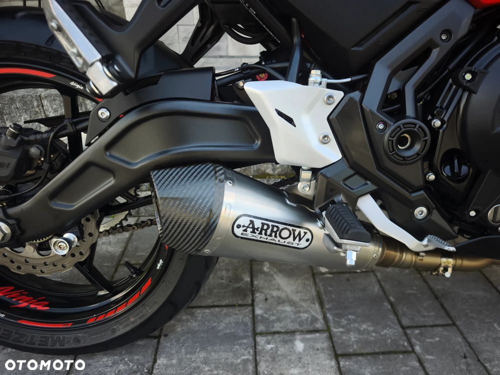 Kawasaki Ninja - 12