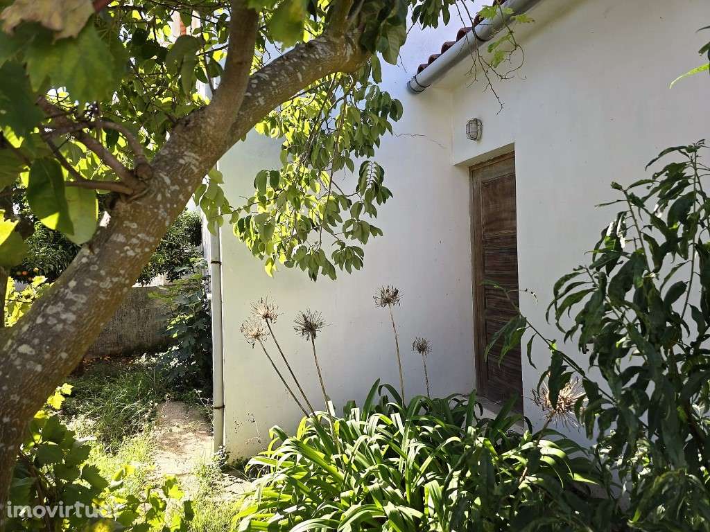 Moradia com Garagem e Quintal - Grande imagem: 2/22