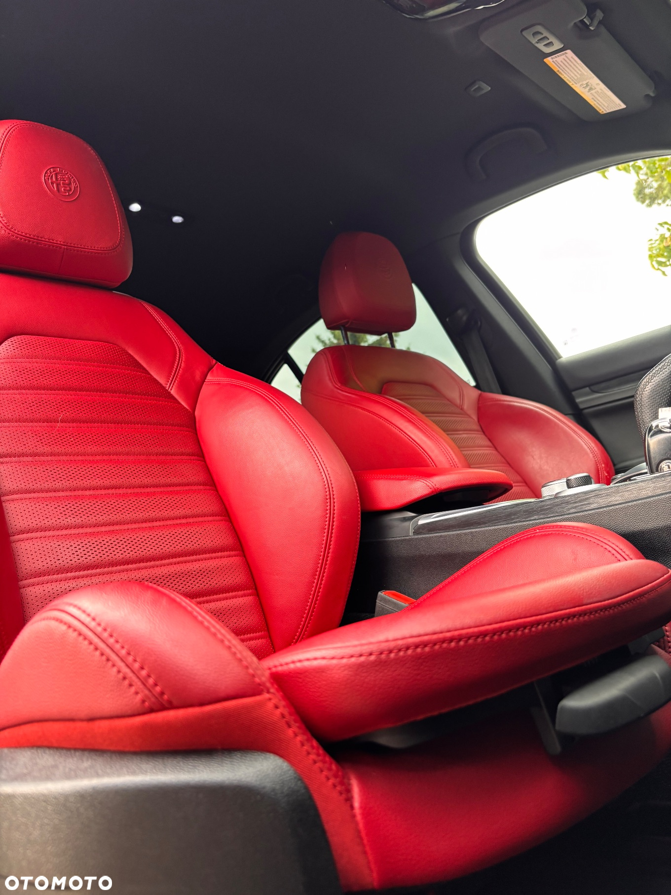 Alfa Romeo Stelvio 2.0 Turbo Veloce Q4 - 16