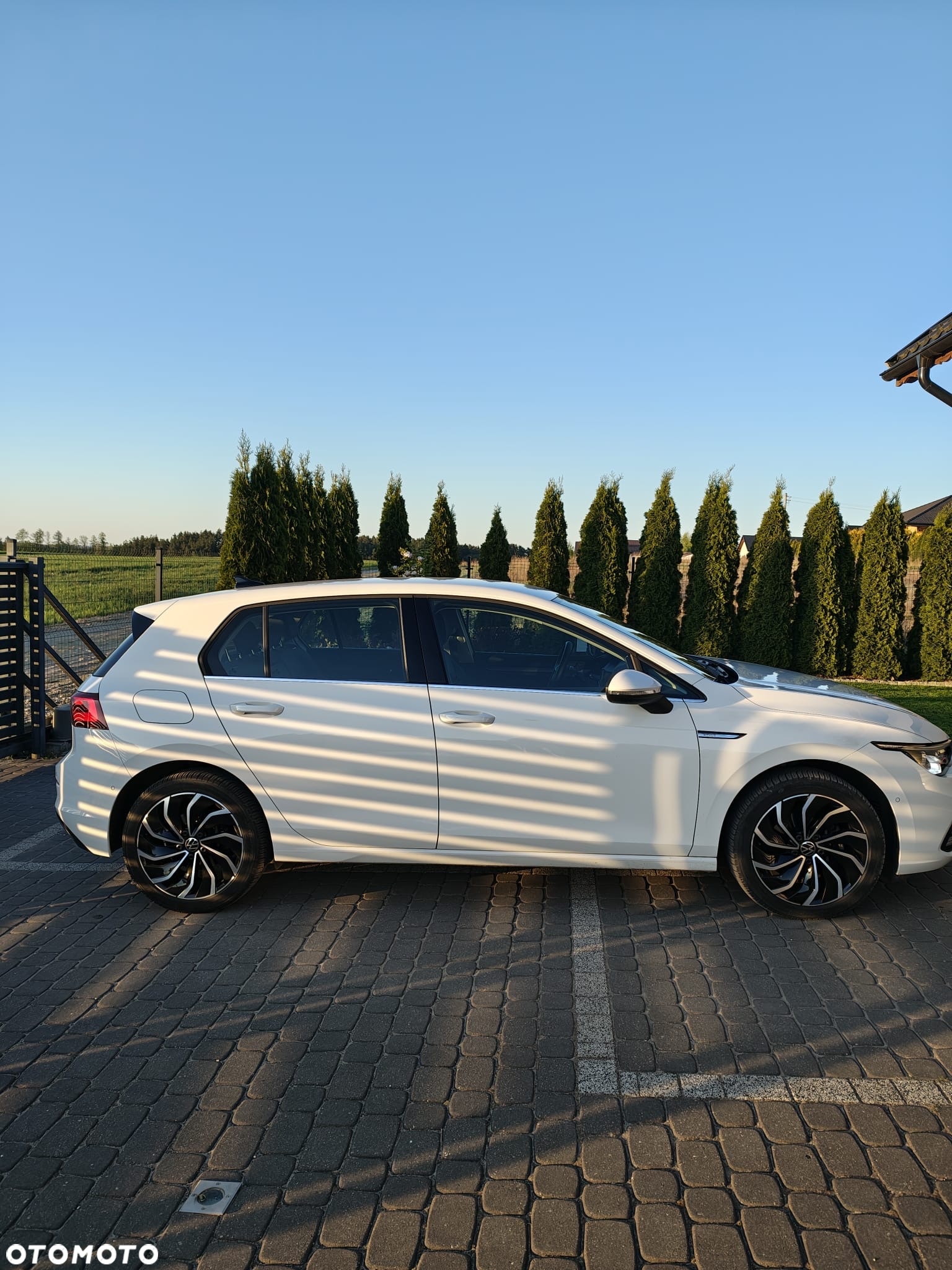 Volkswagen Golf VIII 1.5 eTSI EVO Style DSG - 7
