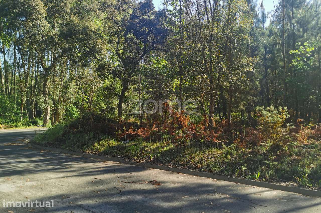 Terreno, com acesso betuminoso, gaveto, 2 frentes, Recardães, Águeda - Grande imagem: 2/13