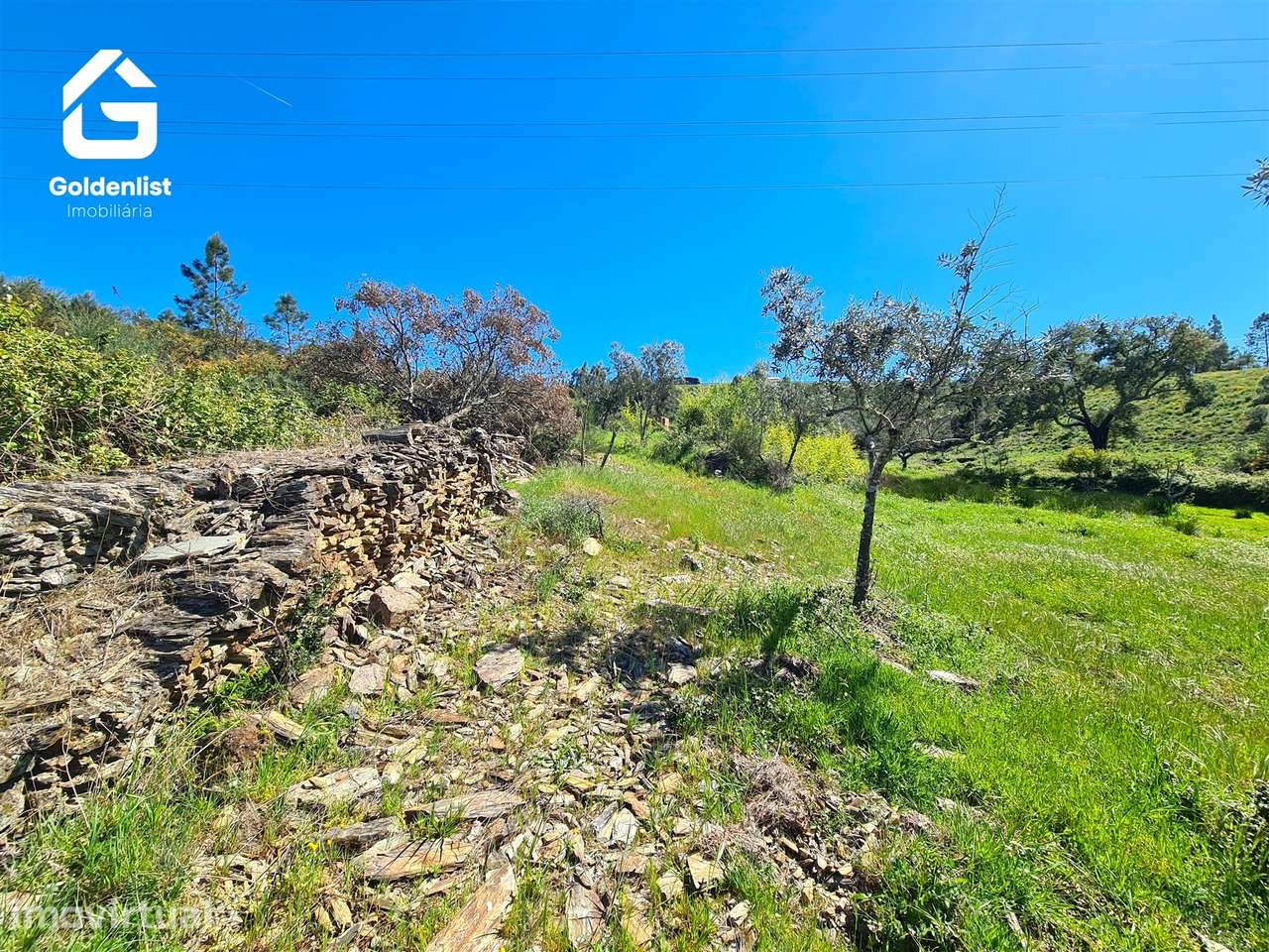 Terreno  Venda em Cebolais de Cima e Retaxo,Castelo Branco - Grande imagem: 3/22