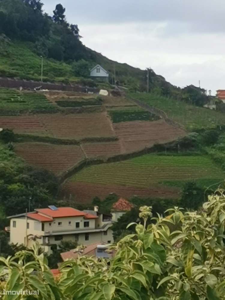Conjunto de Casa Rústica em Pedra+Terreno Urbanizável no Porto da Cruz - Grande imagem: 2/3