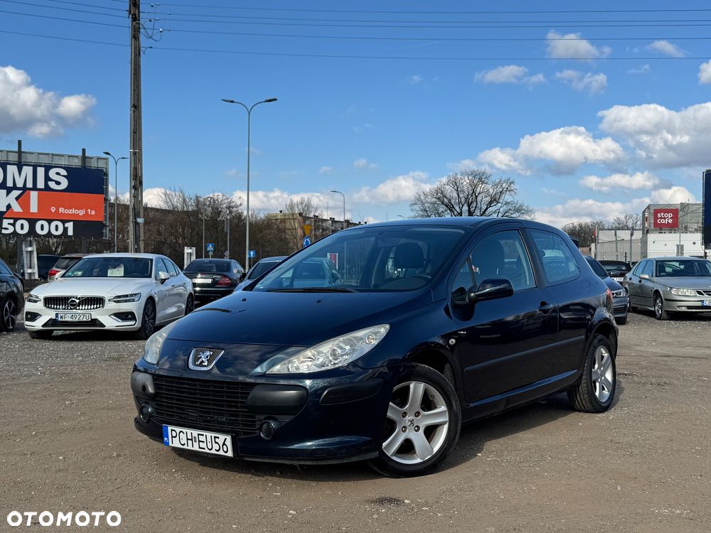 Peugeot 307 1.4 XR - 9