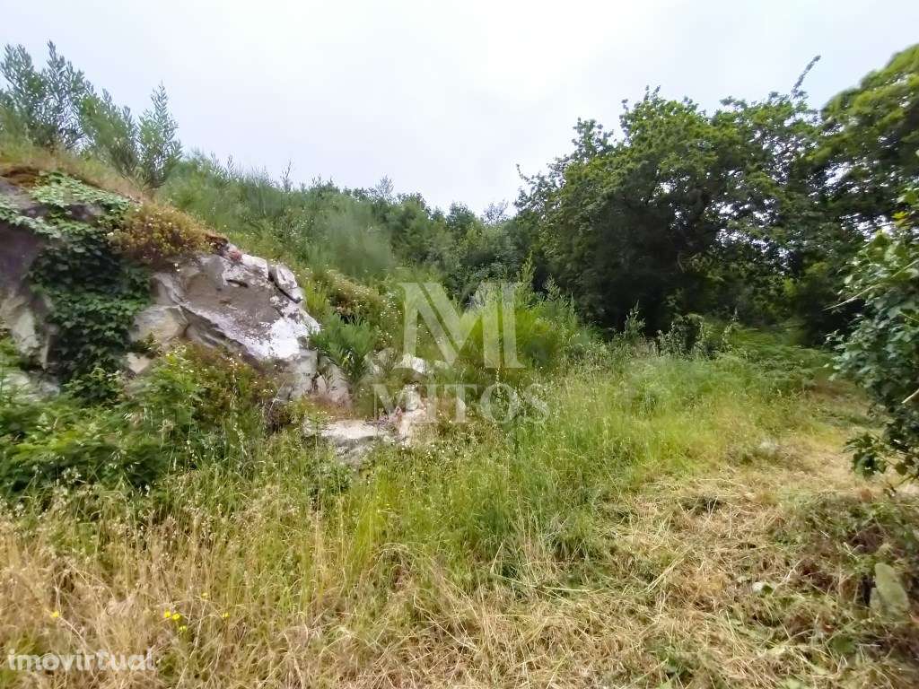 Lotes para construção a venda em Âncora - Grande imagem: 4/13