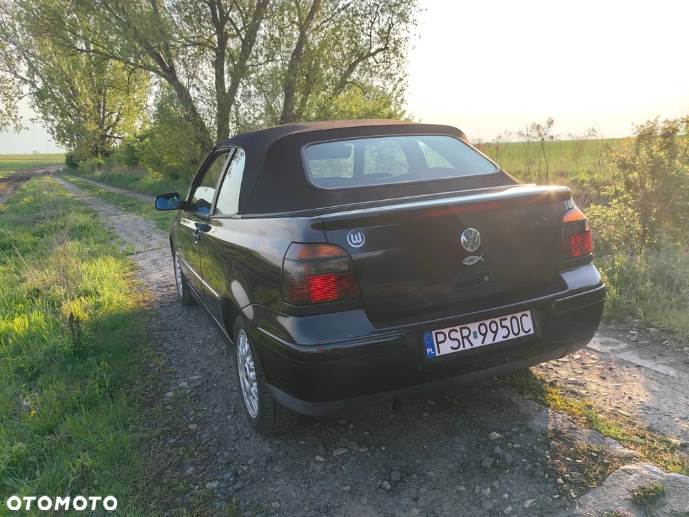 Volkswagen Golf Cabrio 1.6 - 7