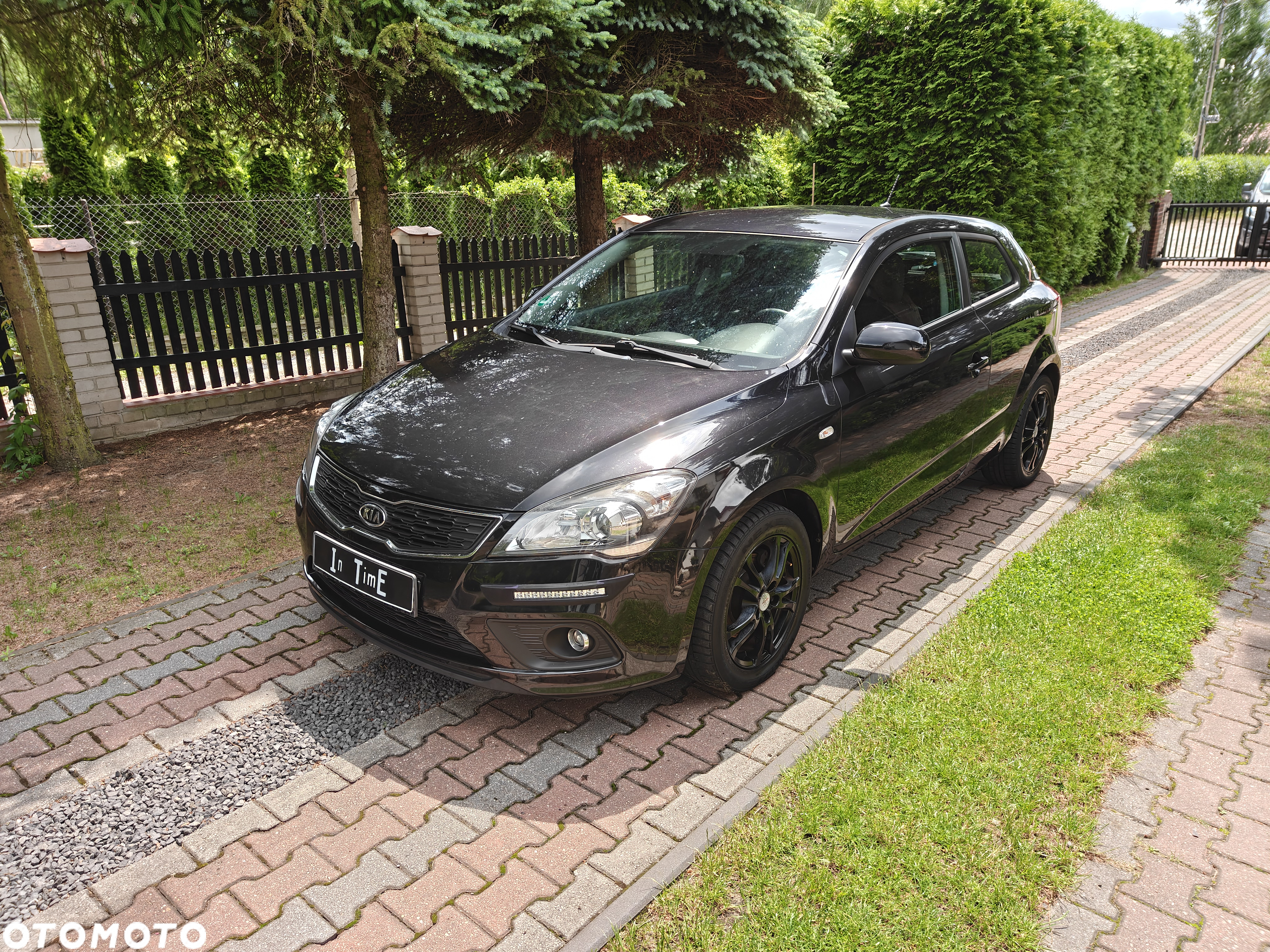 Kia ProCeed - 2