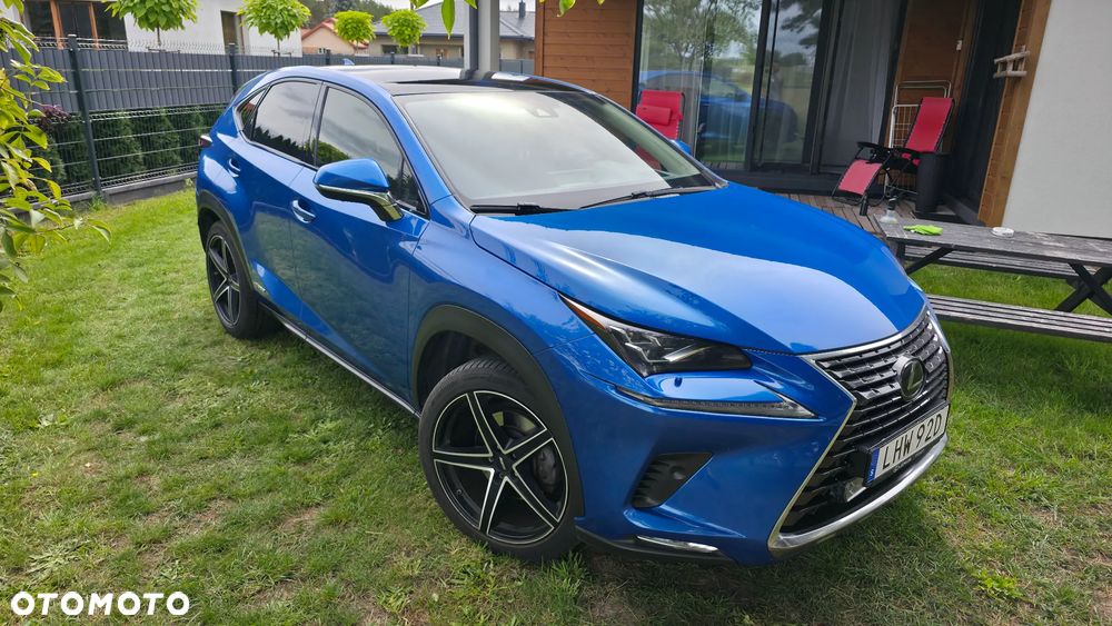 Lexus NX 300h Omotenashi AWD - 4