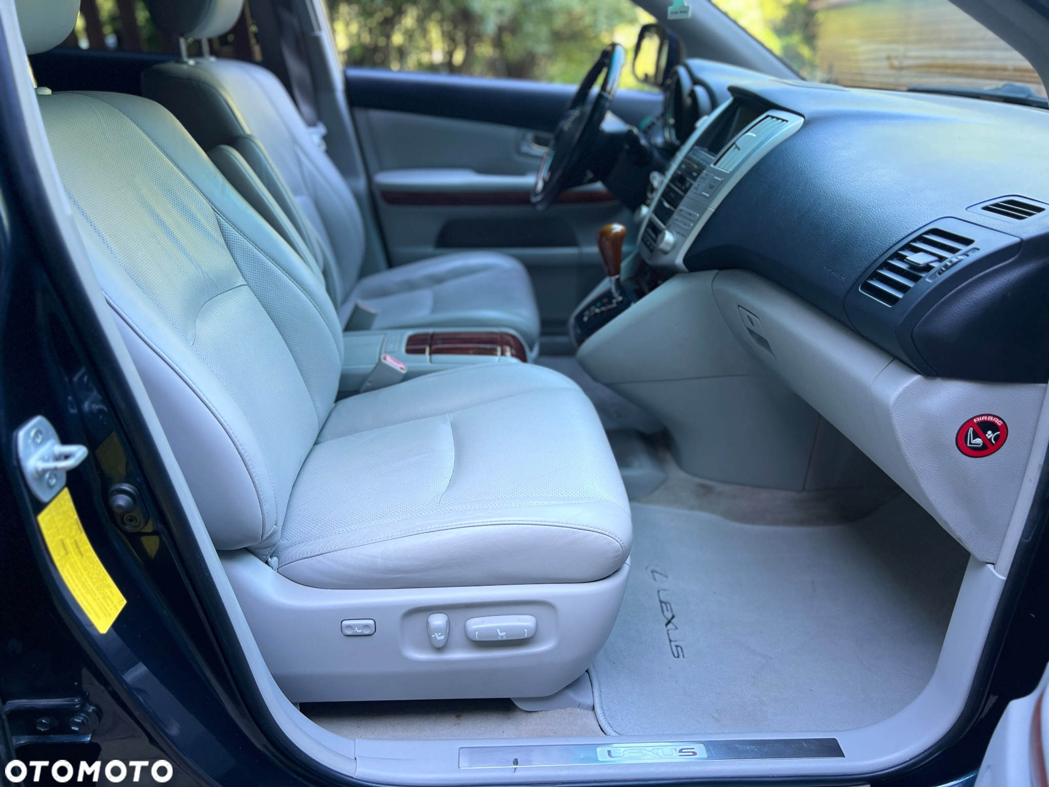 Lexus RX - 12