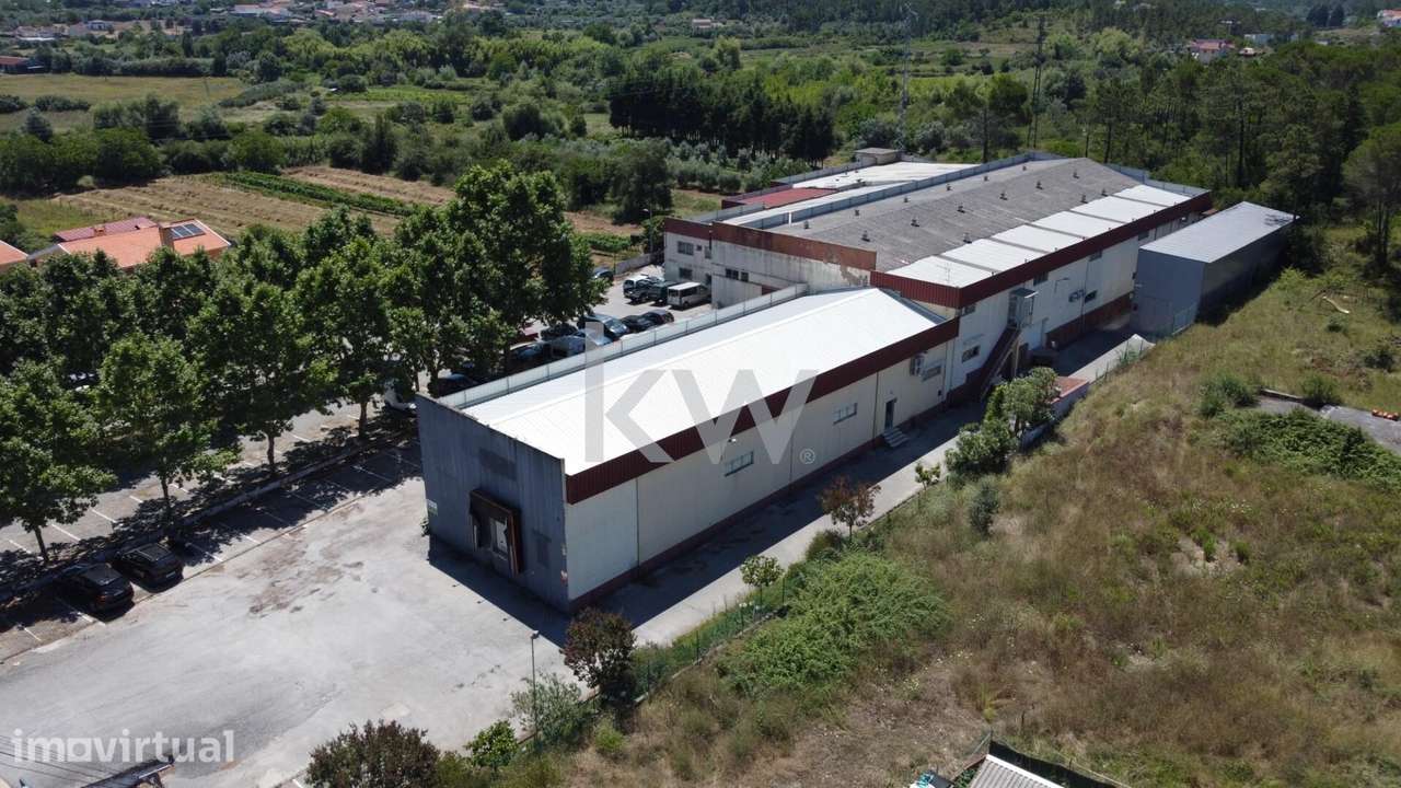 Armazém com rendimento ativo em Cernache – excelente oportunidade de i - Grande imagem: 2/50