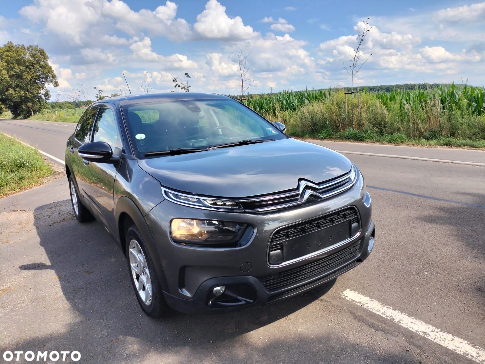 Citroën C4 Cactus 1.6 BlueHDi Live - 2