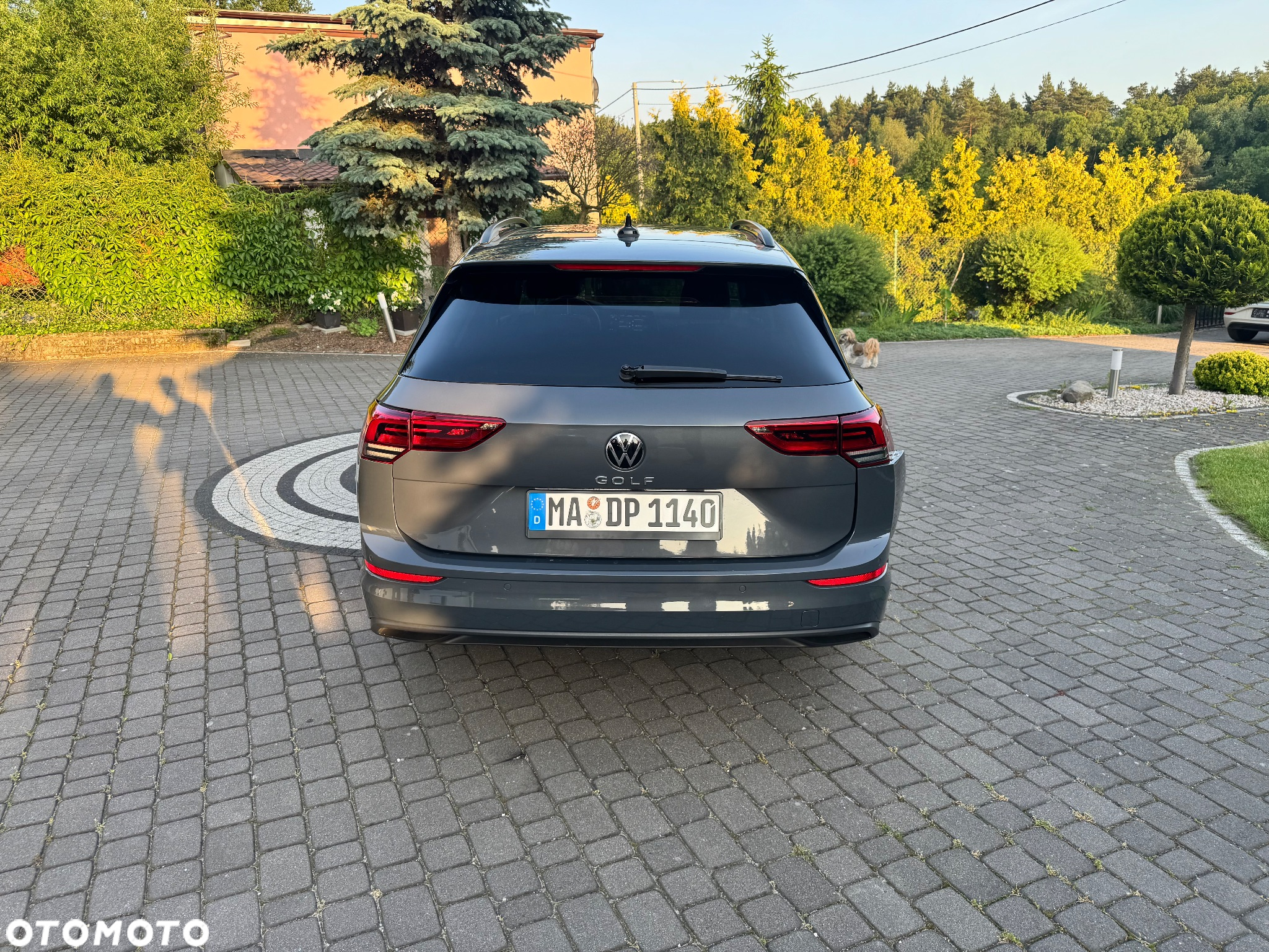 Volkswagen Golf - 6