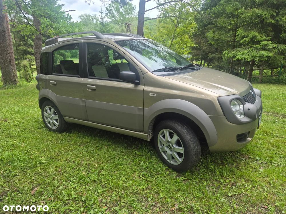 Fiat Panda 1.3 Multijet 4x4 Climbing - 15