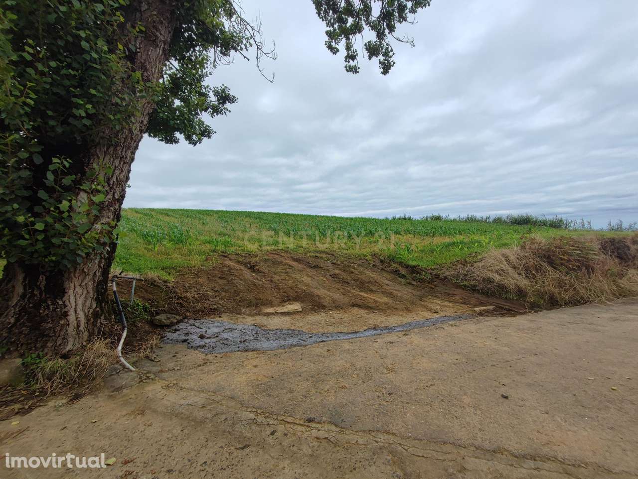 Terreno, 8 420 m², Porto Formoso - Grande imagem: 4/7