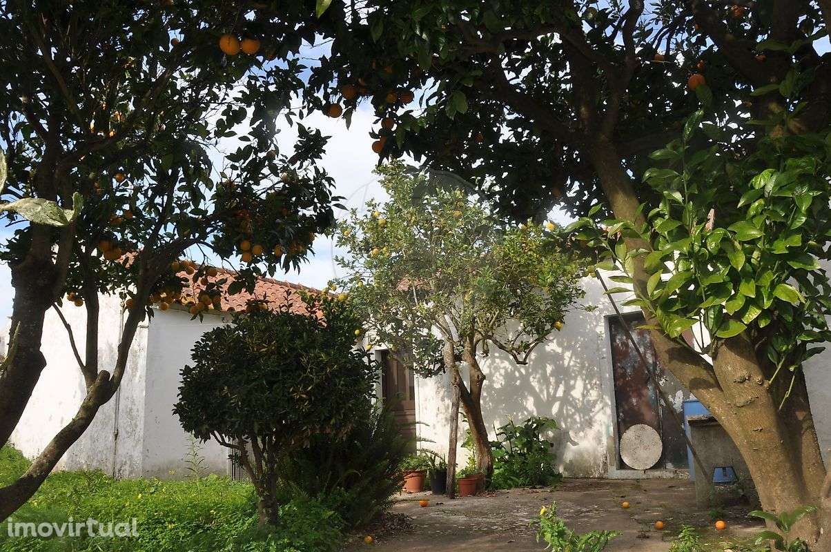 Moradia T2 para venda - Grande imagem: 5/8