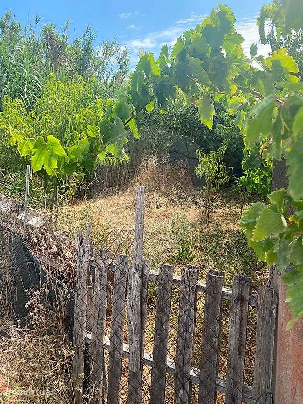Terreno  para venda - Grande imagem: 3/3