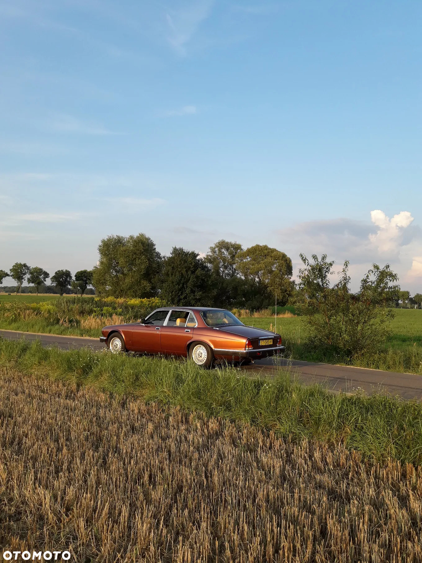Jaguar XJ - 8