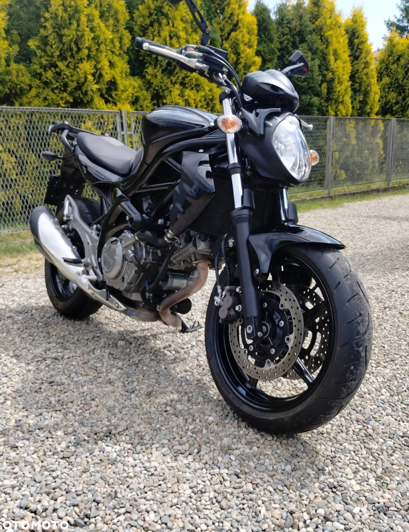 Suzuki Gladius - 6