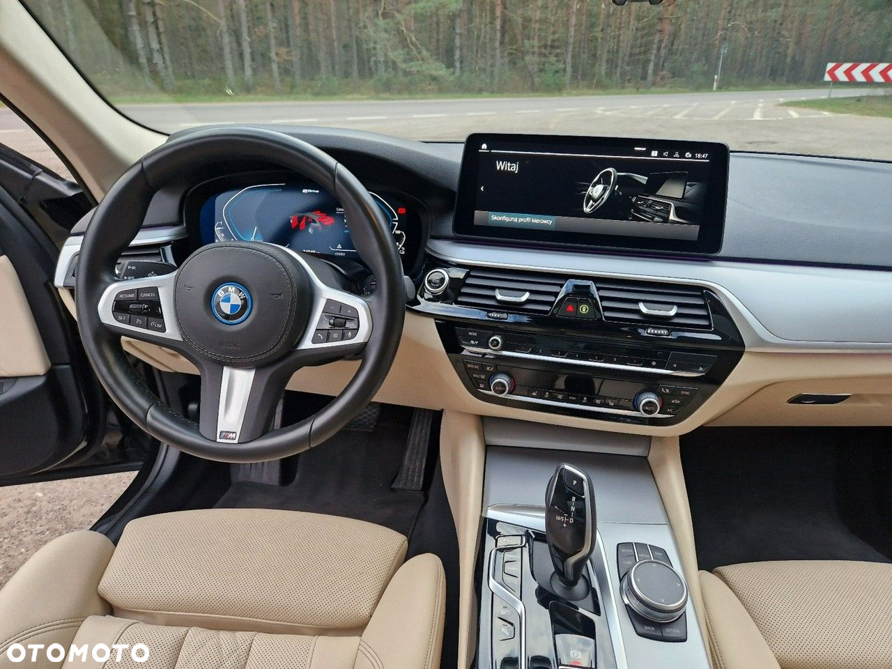 BMW Seria 5 - 35