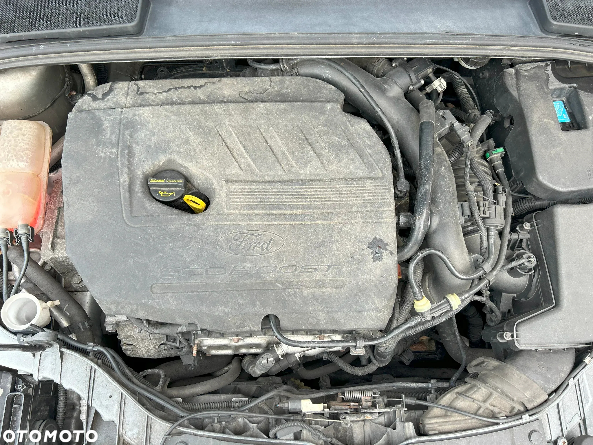Ford Focus - 15