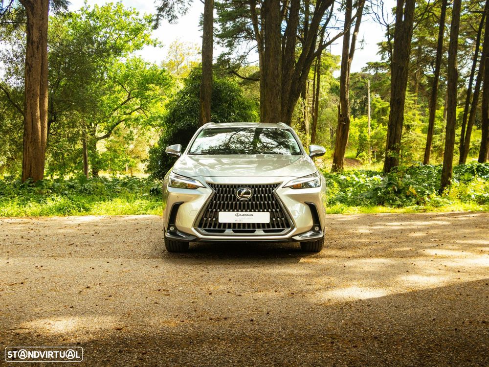 Lexus NX 350h Executive+ - 6