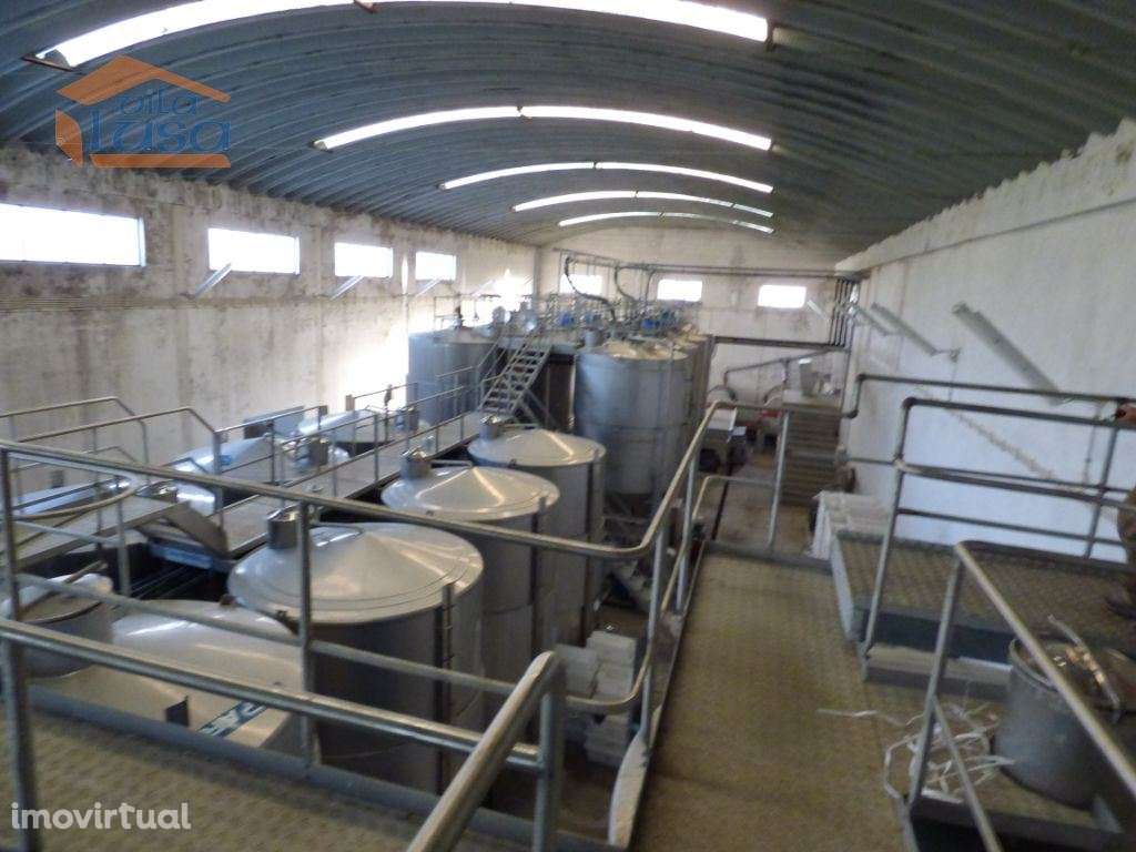 Quinta no Douro de excelente qualidade - Grande imagem: 3/14