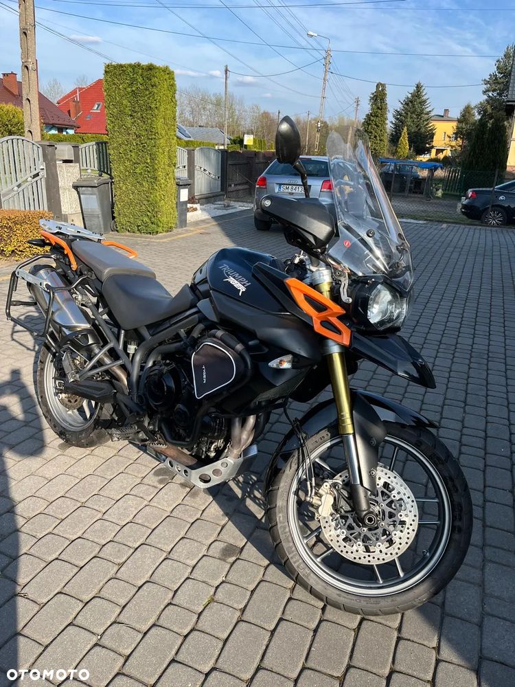 Triumph Tiger - 11